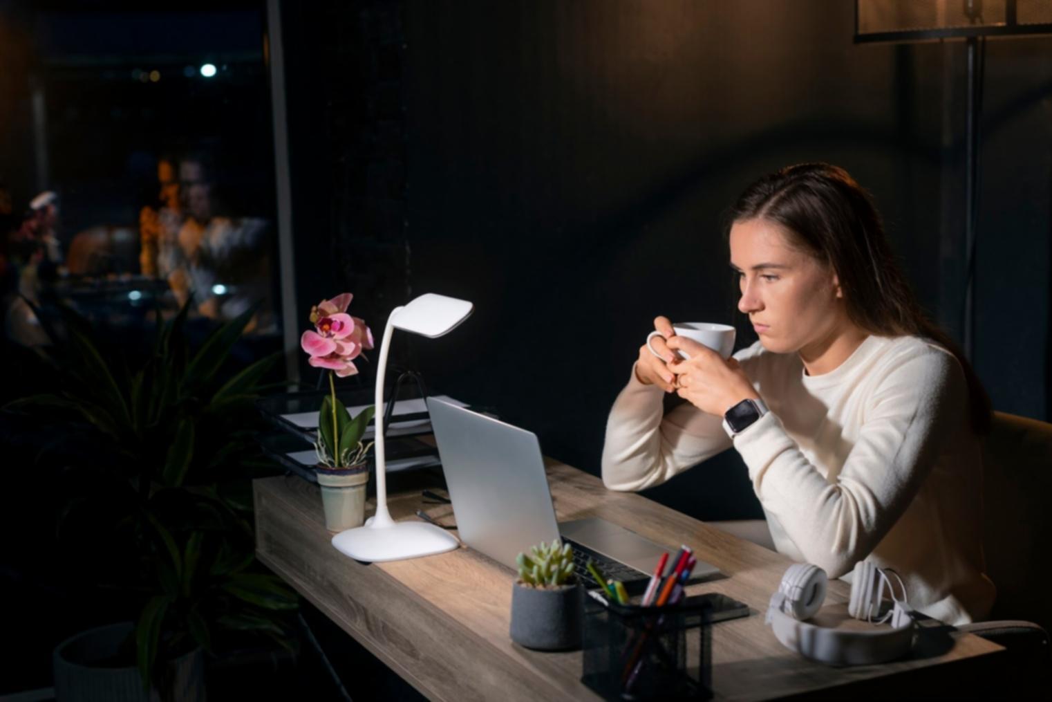 Professional business consultation discussing financial strategies and growth planning